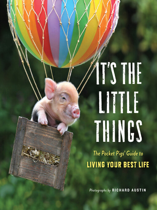 Title details for It's the Little Things by Richard Austin - Available
